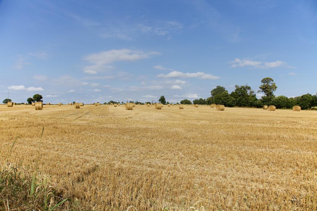 La Petite Chesnee Lägenhet Sacey Exteriör bild