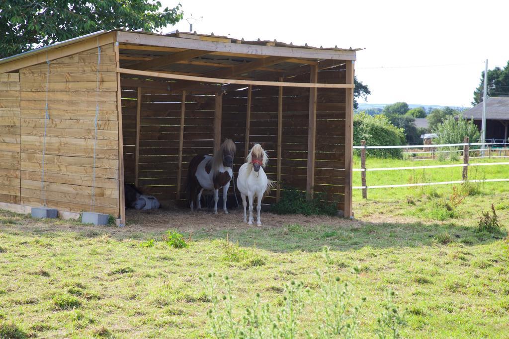 La Petite Chesnee Lägenhet Sacey Exteriör bild