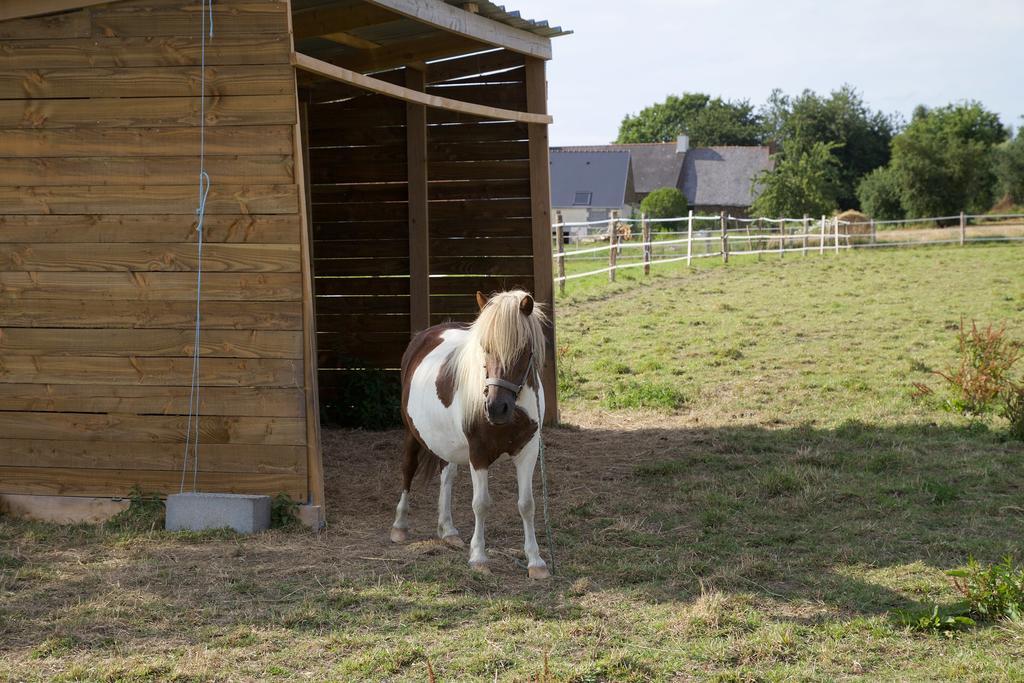La Petite Chesnee Lägenhet Sacey Exteriör bild