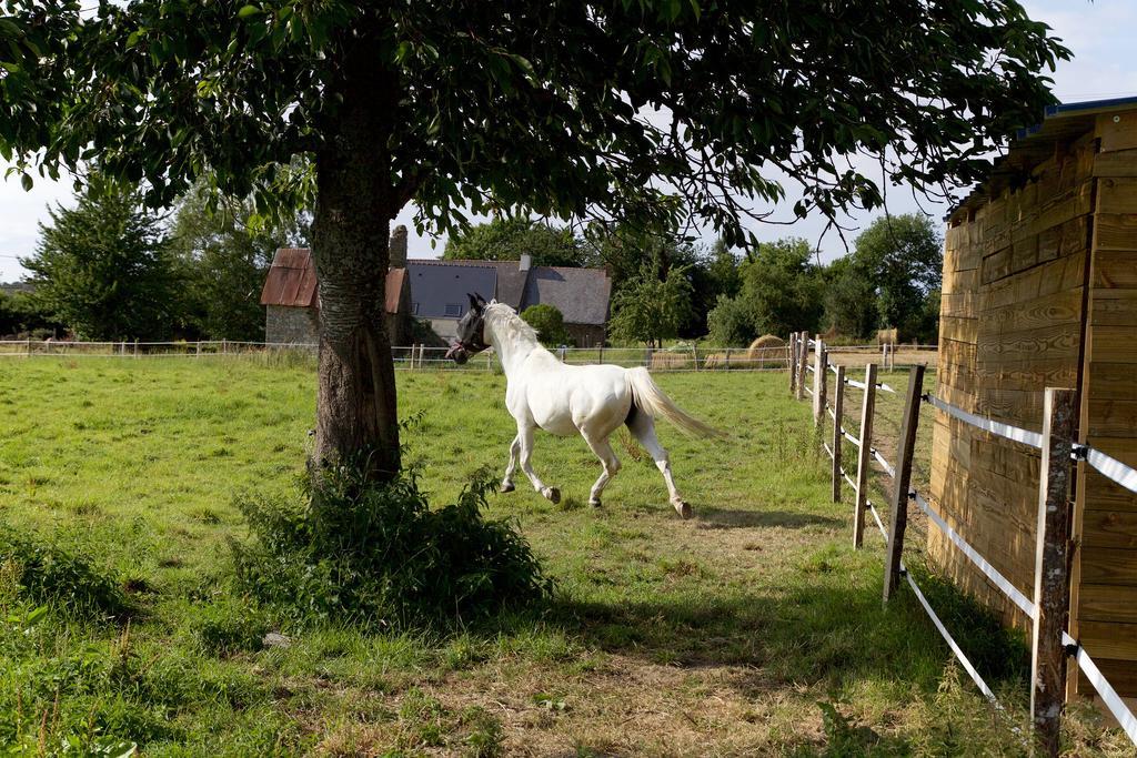 La Petite Chesnee Lägenhet Sacey Exteriör bild
