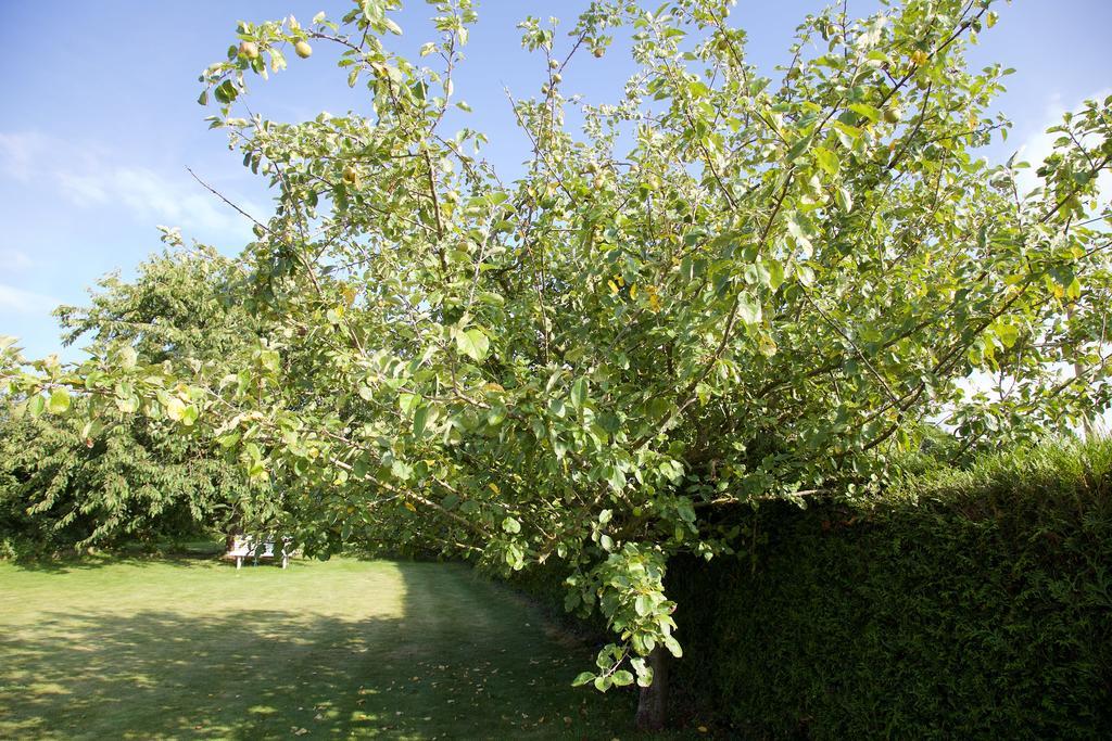 La Petite Chesnee Lägenhet Sacey Exteriör bild